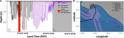 A Case Study of a Near Vessel Strike of a Blue Whale: Perceptual Cues and Fine-Scale Aspects of Behavioral Avoidance